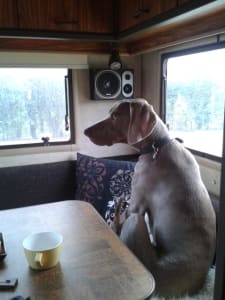 Spiritueel reisverhaal: de camperbewoners. Wodan aan tafel.